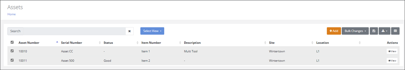 Assets page with the two matching asset rows selected after using Select by Serial Number
