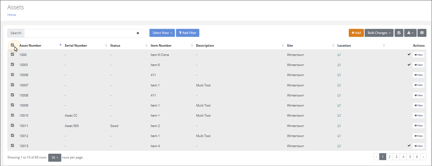 Assets page with the header checkbox marked, selecting every visible row in the grid