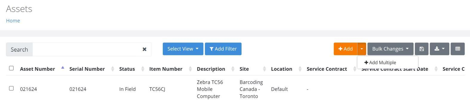 Assets page with the Add dropdown showing the Add Multiple option